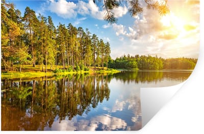 Muurstickers - Sticker Folie - Water - Bomen - Natuur - 30x20 cm - Plakfolie - Muurstickers Kinderkamer - Zelfklevend Behang - Zelfklevend behangpapier - Stickerfolie