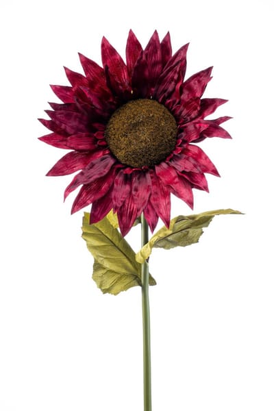 Emerald - Kunstbloem Zonnebloem XL 90cm bordeaux - Kunstplant voor binnen