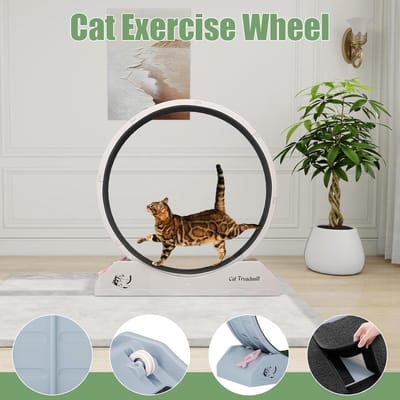 Katten Loopwiel - Fitness wiel kat - Actieve training - Stille werking - 80x34x86 cm - Grijs