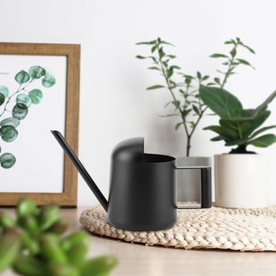Arrosoir en acier inoxydable noir de 300 ml pour plantes d'intérieur et d'extérieur, pot d'arrosage à long bec gray