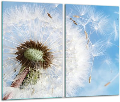 TMK ArtDeko - Snijplank Glas - 30x52cm - Inductiekookplaat Deksel - Met Bloemmotief