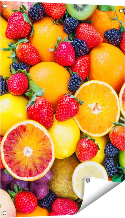 Gards Tuinposter Kleurrijke Fruit Achtergrond - 60x90 cm - Tuindoek - Tuindecoratie - Wanddecoratie buiten - Tuinschilderij