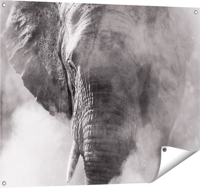 Gards Tuinposter Olifantenkop - Olifant - Zwart Wit - 100x80 cm - Tuindoek - Tuindecoratie - Wanddecoratie buiten - Tuinschilderij