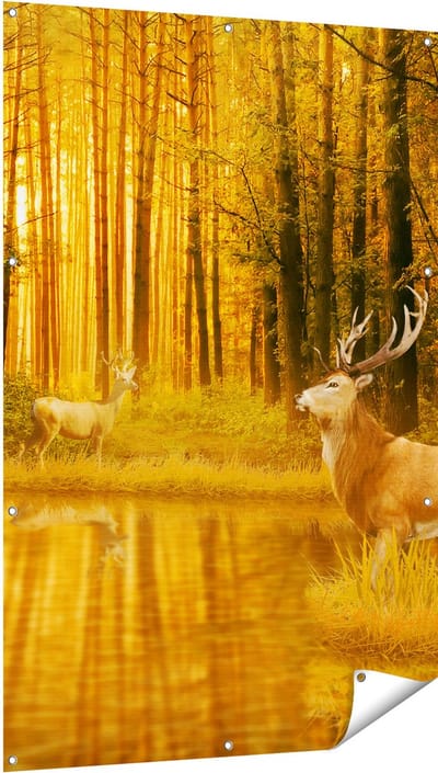 Gards Tuinposter Twee Herten in het Bos bij het Water - 100x150 cm - Tuindoek - Tuindecoratie - Wanddecoratie buiten - Tuinschilderij