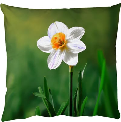 Sierkussens - Kussentjes Woonkamer - 50x50 cm - Narcis - Bloem - Wit - Grassprieten