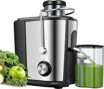 Professionele Juicers - Sapcentrifuge voor Groenten & Fruit - Juicer Met 0.65 L Sapbeker en Pulpreservoir - 2 Snelheden - 600W - RVS / Zwart