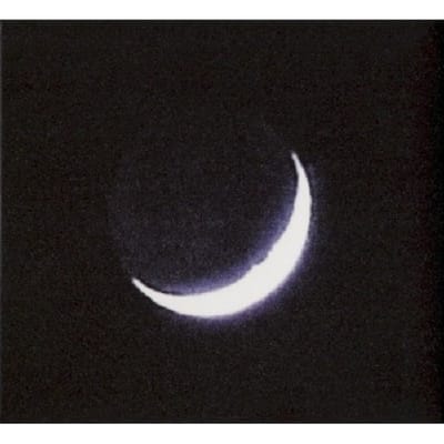 Oiseaux-Tempete - Tarab (CD)