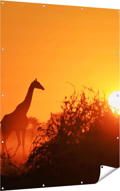Gards Tuinposter Drie Giraffe Silhouetten bij Zonsondergang - 120x160 cm - Tuindoek - Tuindecoratie - Wanddecoratie buiten - Tuinschilderij