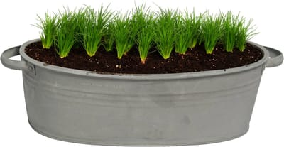 Mega Collections Teil/plantenpot/bloempot Farmer - ovaal - zink - donkergrijs - L25 x D18 X H11 cm