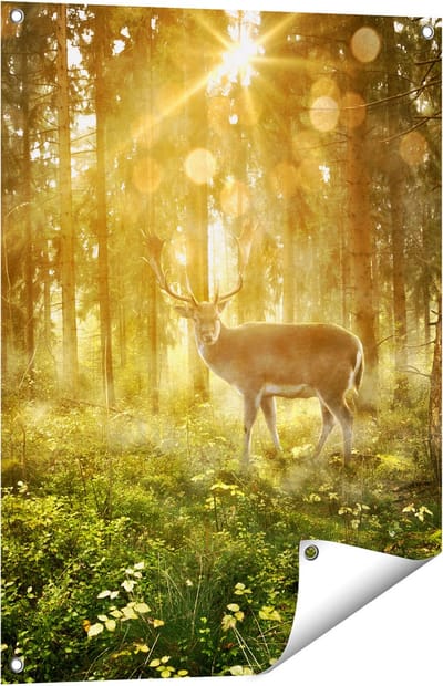 Gards Tuinposter Hert in Bos met Zon - 60x80 cm - Tuindoek - Tuindecoratie - Wanddecoratie buiten - Tuinschilderij
