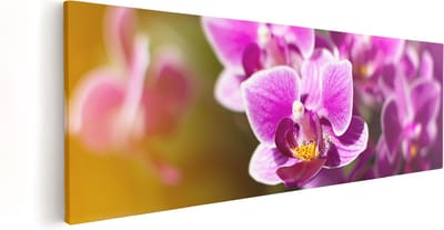Artaza Canvas Schilderij Bloemen - 60x20 cm - Muurdecoratie Orchidee - Wanddecoratie Woonkamer - Kamer Accessoires