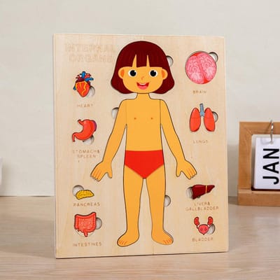 Montessori Menselijk Lichaam Puzzels Druktebord Lichaamsdelen Leren Educatief Anatomie Speelgoed voor Kinderen Kinderen Vroeg Leren Spelletjes