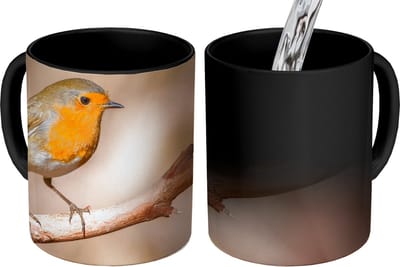 Magische Mok - Foto op Warmte Mokken - Koffiemok - Vogel - Tak - Roodborstje - Magic Mok - Beker - 350 ML - Theemok