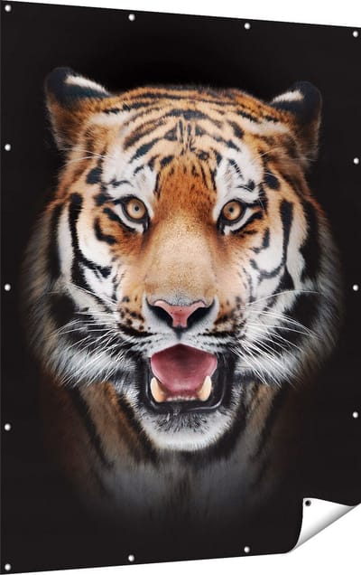 Gards Tuinposter Tijgerkop - Tijger - 120x160 cm - Tuindoek - Tuindecoratie - Wanddecoratie buiten - Tuinschilderij