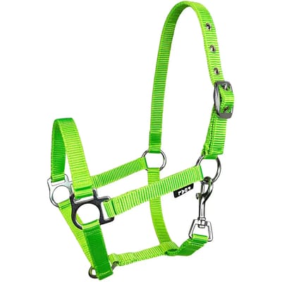 Halster voor paarden York