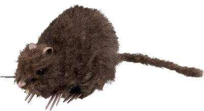 Boland - Decoratie Rat - Horror - Horror