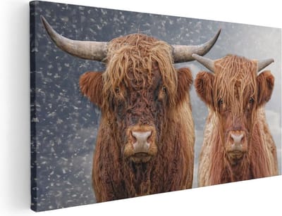 Artaza Canvas Schilderij Schotse Hooglander - 40x20 cm - Klein - Wanddecoratie Woonkamer - Muurdecoratie Dieren - Schilderijen Op Canvas
