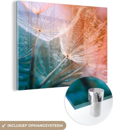 MuchoWow® Glasschilderij 40x30 cm - Schilderij acrylglas - Bloem - Paardenbloem - Plant - Foto op glas - Schilderijen
