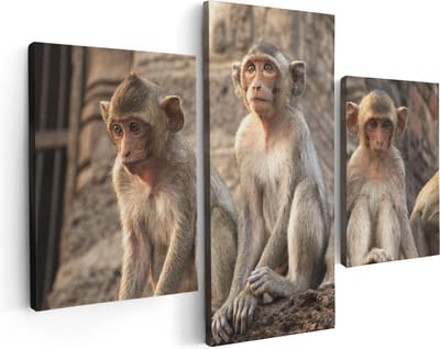 Artaza Canvas Schilderij Drieluik Drie Kleine Apen Naast Elkaar - 90x60 - Foto Op Canvas - Canvas Print