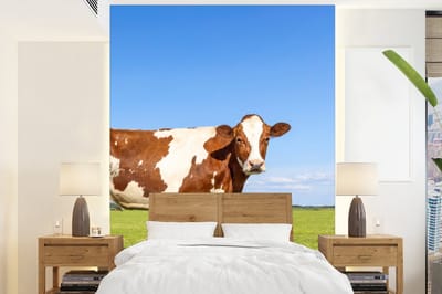 Behang - Fotobehang Koeien - Boerderij - Gras- Natuur - Dieren - Breedte 205 cm x hoogte 280 cm