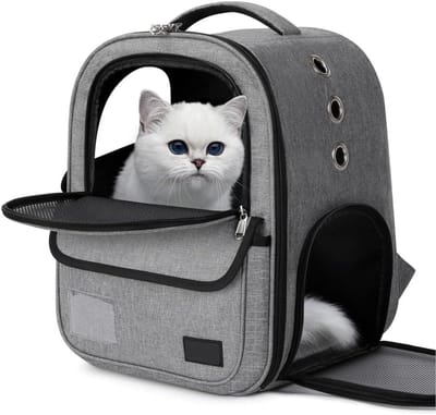 Dieren Transporttas - Draagtas Huisdier - Veilig Reizen - Ademend Gaas - 32x30x42cm - Zwart