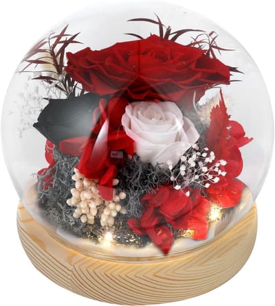 Rozen in Koepel - Eeuwige Bloemen - Decoratie Huis - Met LED Verlichting - 21.59 cm Hoog - Rood