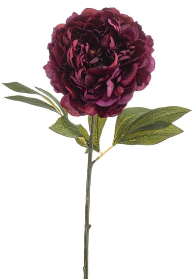 Emerald - Kunstbloem Pioenroos 77cm bordeaux - Kunstplant voor binnen