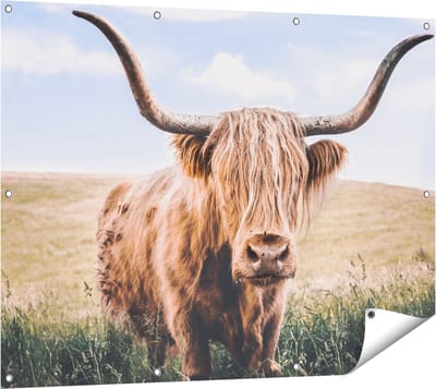 Gards Tuinposter Schotse Hooglander Koe in de Wei - 120x90 cm - Tuindoek - Tuindecoratie - Wanddecoratie buiten - Tuinschilderij
