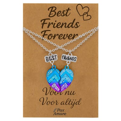 BFF Ketting voor 2 'Best Friends Forever' - Magnetisch Best Friends Hartje - Vriendschapsketting op Cadeau Kaartje - 45cm + 5cm verstelbaar - Zilverkleurig - Best Friends Hanger - Pax Amare