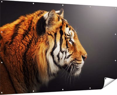 Gards Tuinposter Zijaanzicht van een Tijger - Tijgerkop - 180x120 cm - Tuindoek - Tuindecoratie - Wanddecoratie buiten - Tuinschilderij