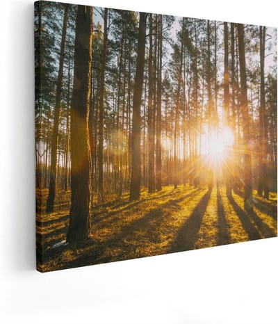 Artaza Canvas Schilderij Bos - 100x80 cm - Groot - Wanddecoratie Zonsondergang - Muurdecoratie Bomen - Schilderijen Op Canvas Natuur