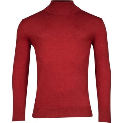 Baileys Trui Rollneck Single Knit Pima Cotton Stone Red / male