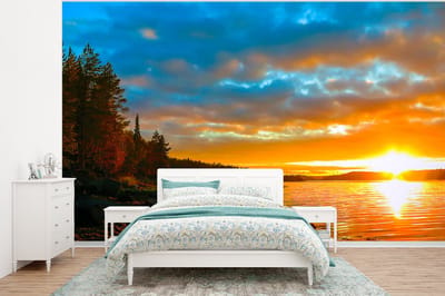 Behang - Fotobehang Zon - Landschap - Water - Bomen - Breedte 350 cm x hoogte 260 cm