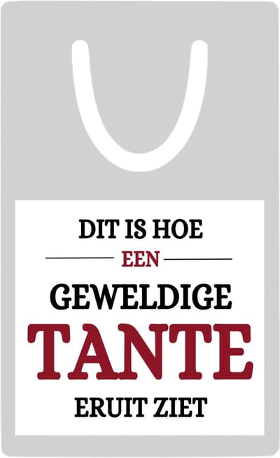 Hacebo® - geweldige tante metalen boekenlegger- Tante - liefste tante - verjaardagscadeau - verjaardag - cadeau voor tante - kado Bladwijzer boekenleggers - 7.6 cm x 5cm