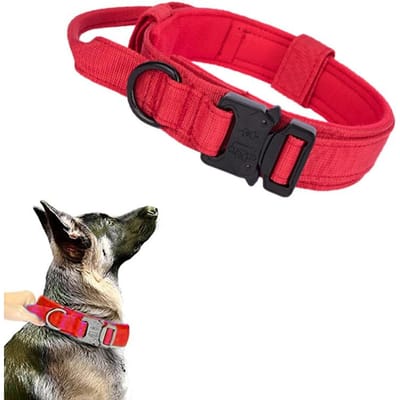 Ensemble de laisse et collier tactique durable pour chien, collier militaire réglable pour animal de compagnie, laisse pour chien de taille moyenne et grande, accessoires de dressage pour berger allemand (as the picture,M Neck 38-47CM)