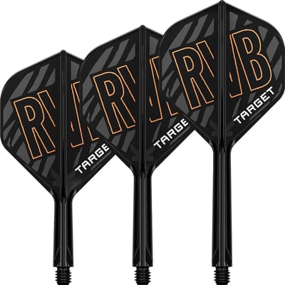 Target K-Flex Raymond van Barneveld NO2 - Dart Flights
