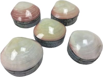 Schelpendoosje parelmoer roze/creme 10 cm