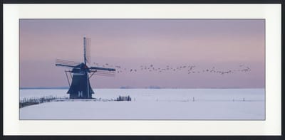 Molen in de sneeuw - Winterkaarten - Set van 10 lange winterkaarten