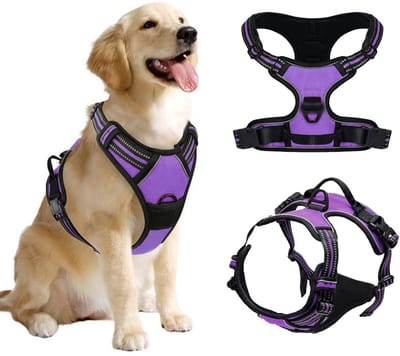 Dailygoods- Hondenharnas Anti-trek - Hondentuigje Middelgrote Hond - Verstelbaar - Zacht Gevoerd - Y-vormig Harnas - Gemakkelijke Handgreep
