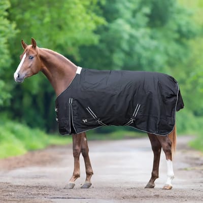 Outdoor paardendeken York Bergen 300 g
