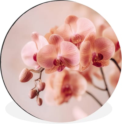 WallCircle - Wandcirkel - Muurcirkel - Orchidee - Bloemen - Roze - Bloemblaadjes - Aluminium - Dibond - 30x30 cm - Binnen en Buiten