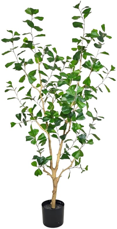 Ficus Triangularis Kunstplant 150cm