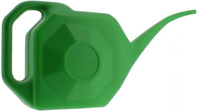 Gieter - Waterkannetje - Planten Water Geven - Taps Toelopende Tuit - 2 Liter - Groen