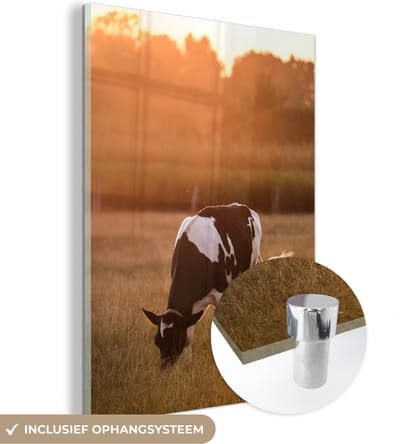 MuchoWow® Glasschilderij 30x40 cm - Schilderij acrylglas - Koe - Zon - Dieren - Foto op glas - Schilderijen