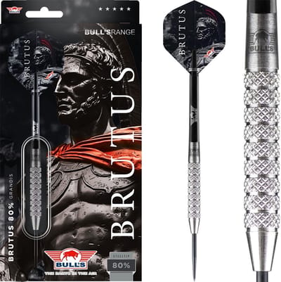 Dartpijlen Set - Professionele Darts - Wedstrijd Darts - 80% Tungsten Materiaal - 27-29 Gram - Zilverkleurig