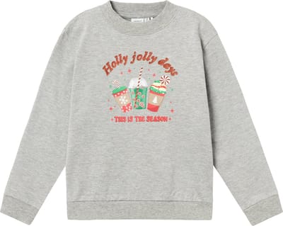 NAME IT NKFRULJUL LS NREG SWEAT BRU BOX Meisjes Trui - Maat 116