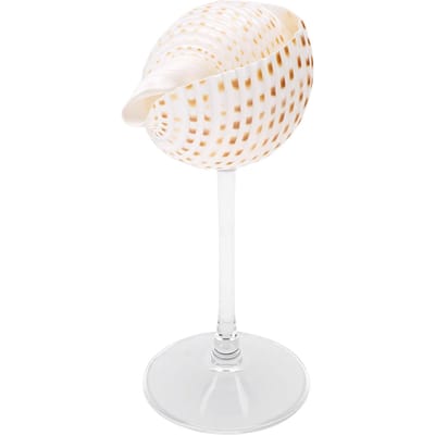 Schelp Wijnglas Elegant Uniek Creatief Drinkbeker Cocktail Dranken Beker voor Bruiloft Feest Bar Type 1