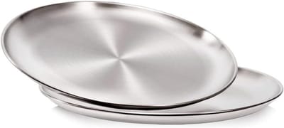 Ronde Roestvrijstalen Dinerborden, 10-Inch Herbruikbare Campingborden, Ideaal voor Snacks, Pizza en BBQ Activiteiten
