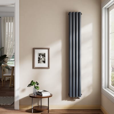 EMKE Design Radiator - Ovale Buizen - 160x24 cm - Dubbel - Mat Antraciet - 623 W - Verwarming Alle Ruimtes