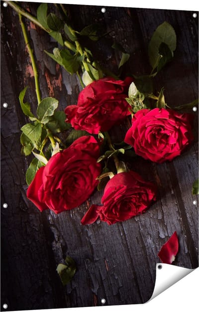 Gards Tuinposter Rode Rozen op de Grond - 90x120 cm - Tuindoek - Tuindecoratie - Wanddecoratie buiten - Tuinschilderij